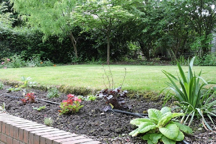 The rear entrance, Resident's patio and garden at Braintree Nursing Home